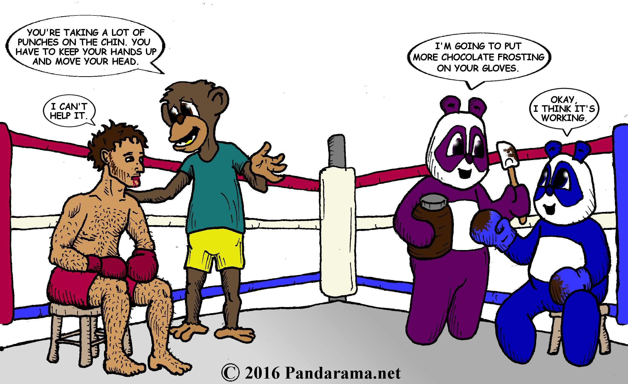 Pandarama cartoon about a boxer getting punched in the mouth because his opponent has chocolate covered gloves.