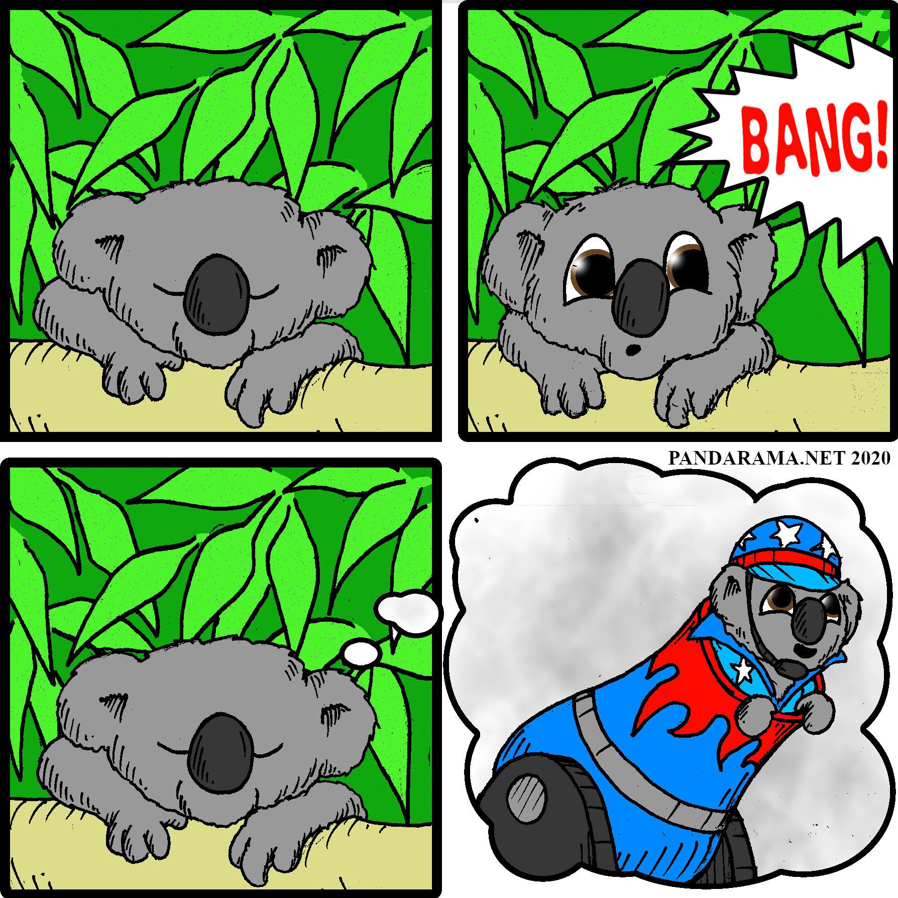webcomic. bang wakes up koala, koala then dreams of being shot out of a cannon. human cannonball.