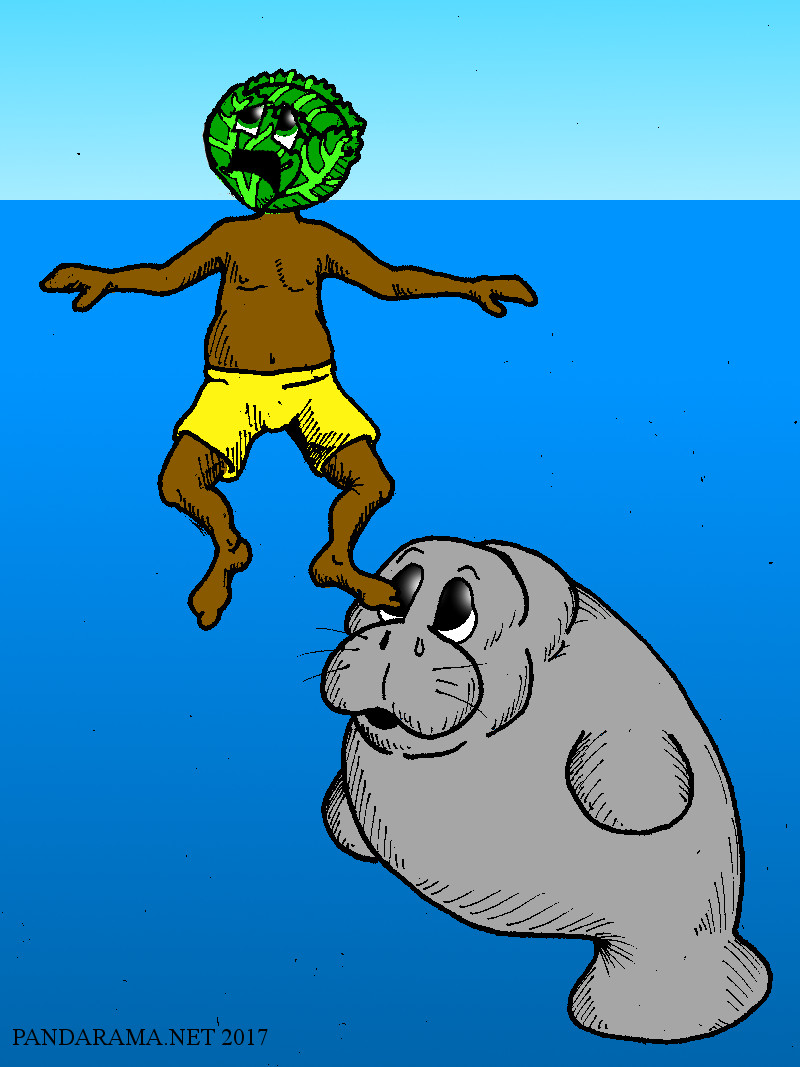 cartoon manatee. manatee cartoon. manatee comicstrip. manatee comics. lettuce-headed person in manatee infested waters. mannatee. manattee.