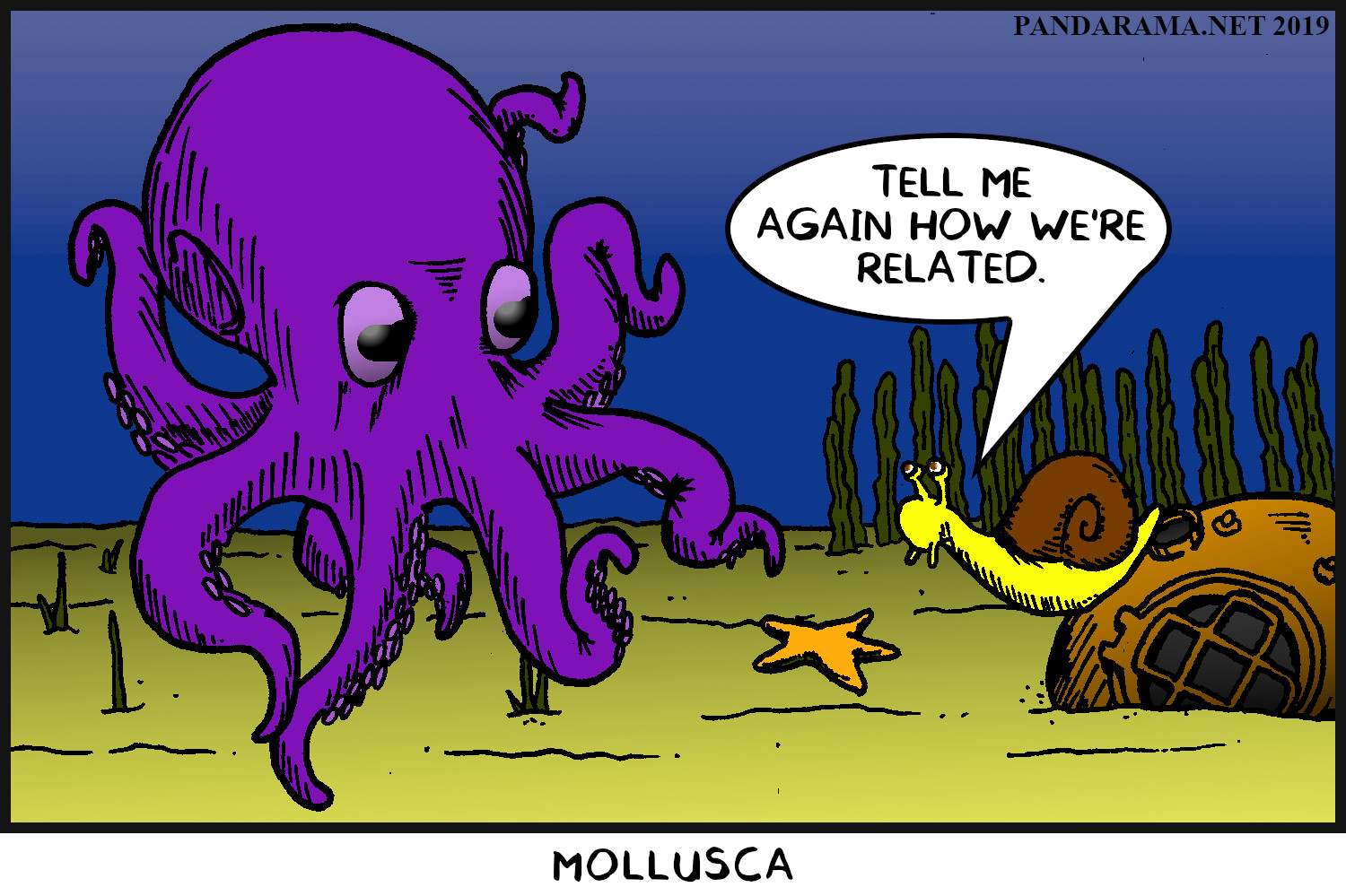 phylum mollusca. snail asks octopus how they are related. cartoon.