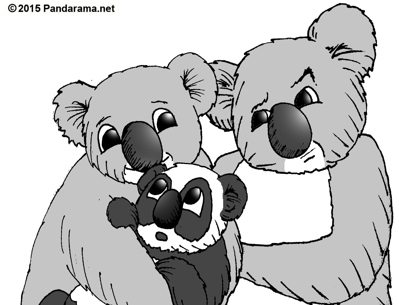 Pandarama cartoon of koala looking suspiciously at a koala holding a baby koala that is colored like a panda.