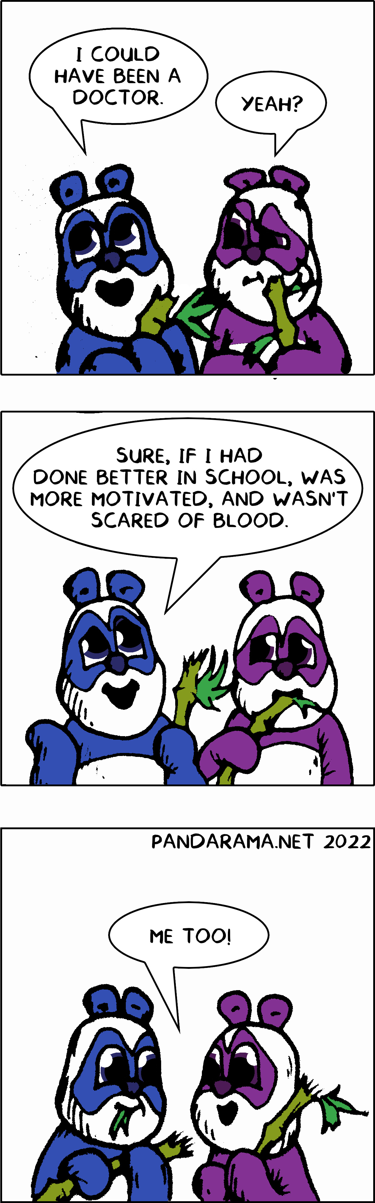 pandarama cartoon. One panda says ;i could've been a doctor if I'd worked harder and wasn't scared of blood' the other panda says 'he could have been one too'