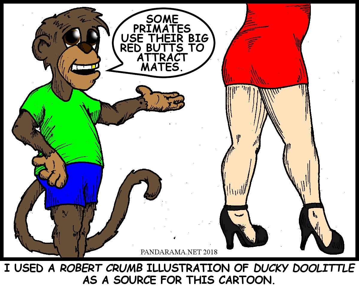 monkey explains that some primates use their big red butt to attract a mate and uses a woman in a tight red dress as an example. cartoon. webcomic. lady in red. r crumb. ducky doolittle. macaque. baboon.