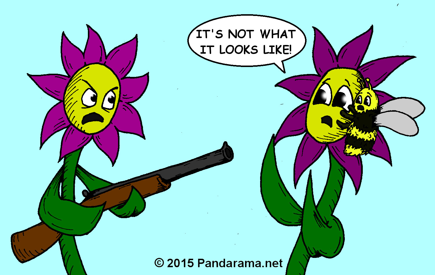 Pandarama / Pandarama.net cartoon of a flower angry, with a shotgun, who's angry because his wife is being pollinated by a bee.