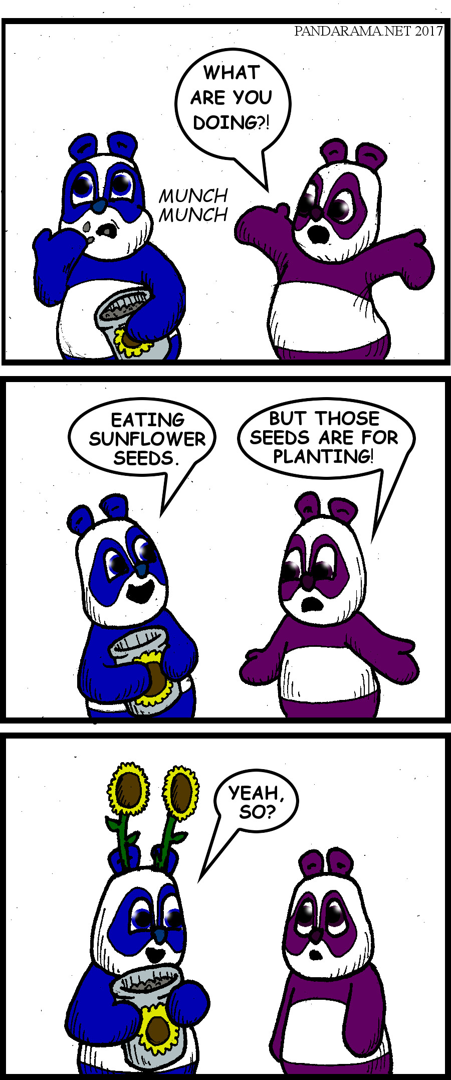 sunflower comicstrip. cartoon about sunflower seeds. comicstrip about sunflower seeds. panda eats sunflower seeds that were meant for plantiing and the sunflowers grow out of the panda's ears.